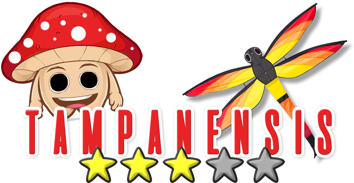 Magic Truffles Clipart (1200x660), Png Download