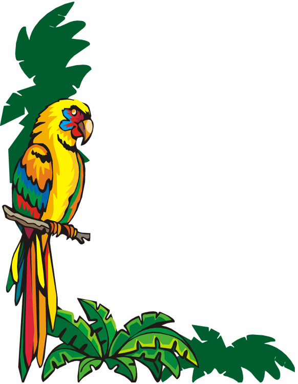 Bordure De Page Word Oiseau - Bordure De Page Animaux Clipart (582x750), Png Download