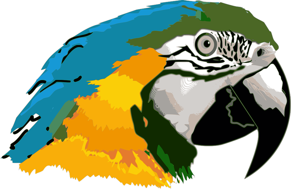 Clipart Of Ave And Png Do - Macaw Transparent Png (960x625), Png Download