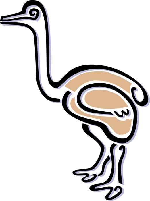 Vector Illustration Of Flightless African Ostrich Bird Clipart (522x700), Png Download