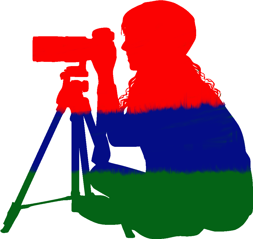 Bird Photography Hide In Gambia - Photograph Clipart (1092x1137), Png Download