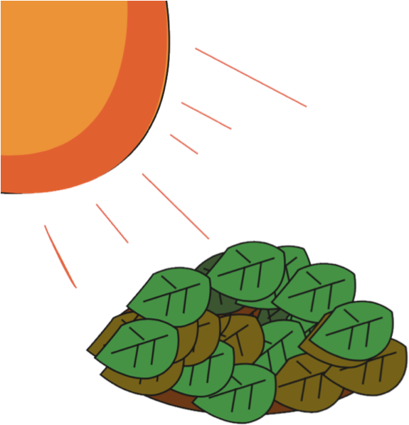 Attributions - Vegetable Clipart (596x597), Png Download