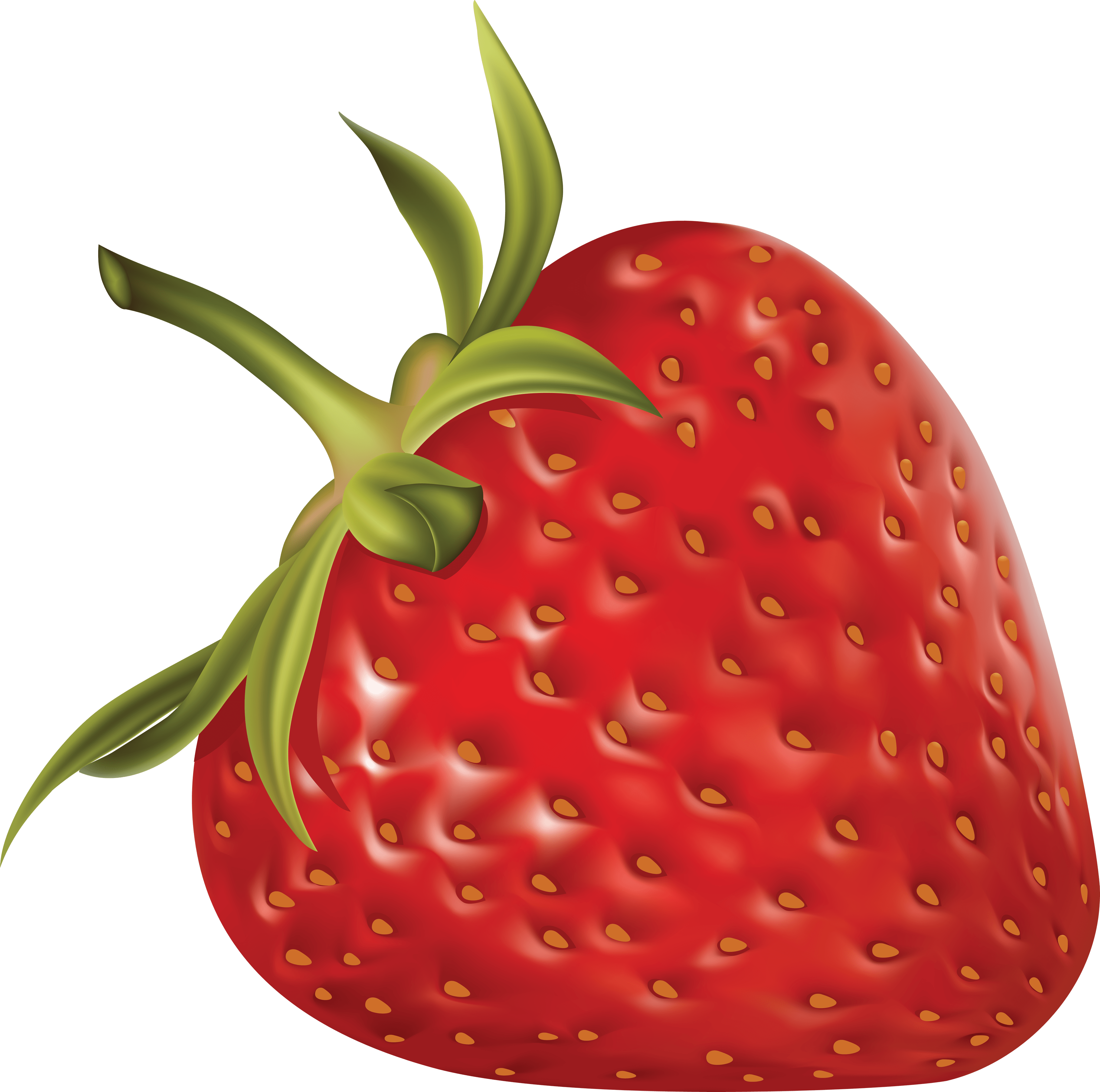 Strawberry Clip Art - One Strawberry Png Transparent Png (3595x3568), Png Download