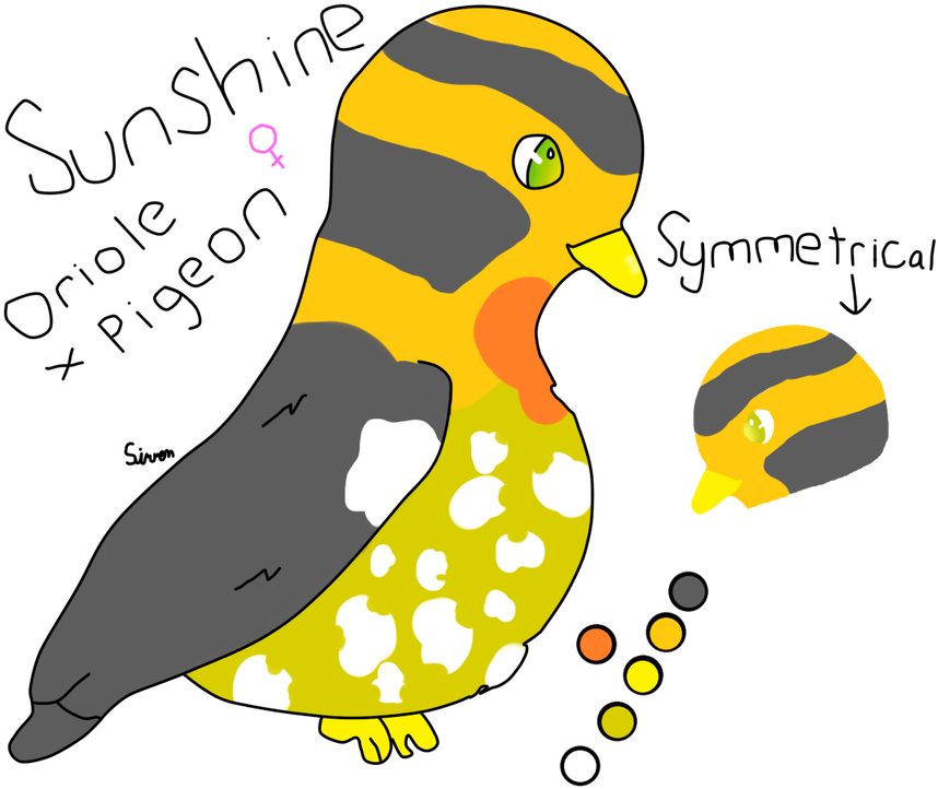 Picture - Duck Clipart (931x800), Png Download
