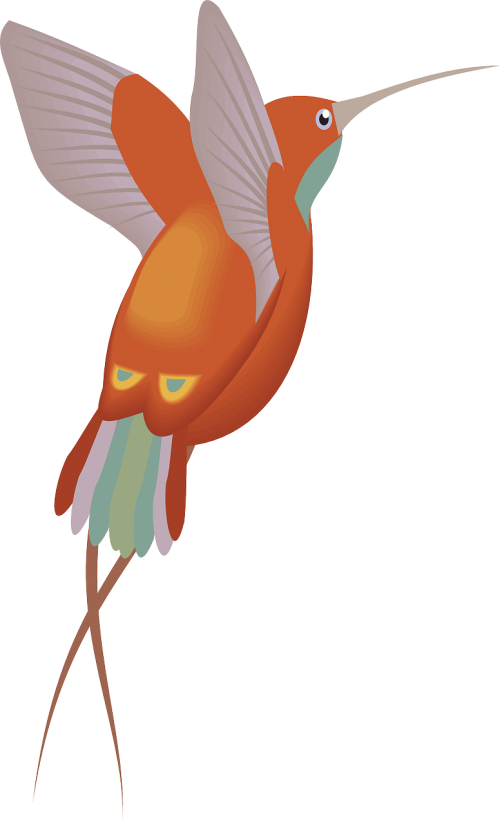 Hummingbird Clipart Hummingbird Flower - Pajaro - Png Download (500x824), Png Download