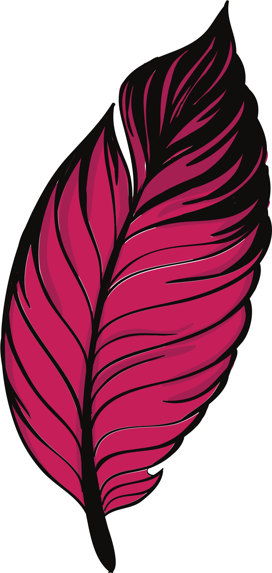 Painted Crimson Feather Of Pigeon Clipart (960x1920), Png Download