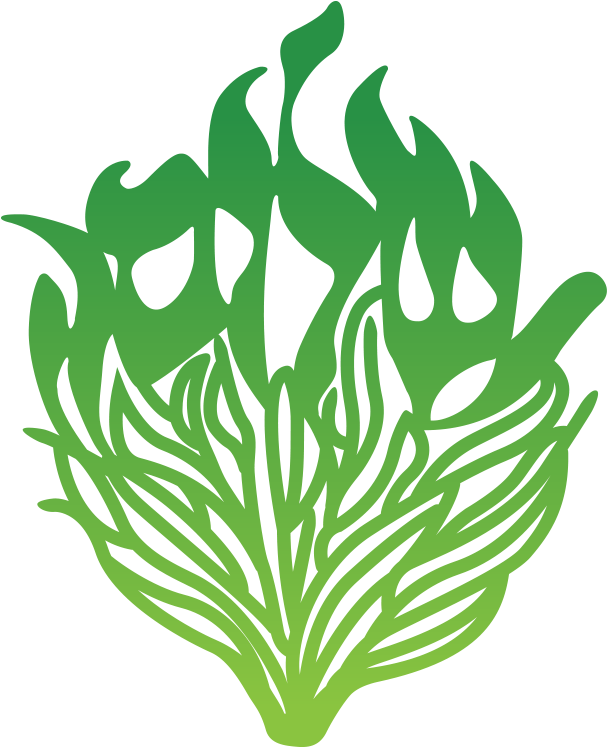 Kiddish Family Havdallah Clipart (649x794), Png Download