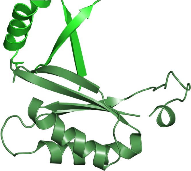 <div Class='caption-body'>1 Copy Of Cath Domain - Graphic Design Clipart (800x800), Png Download