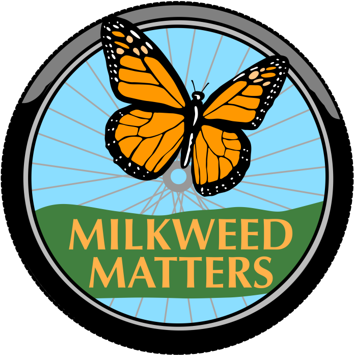 Monarch Butterfly Clipart (1024x768), Png Download