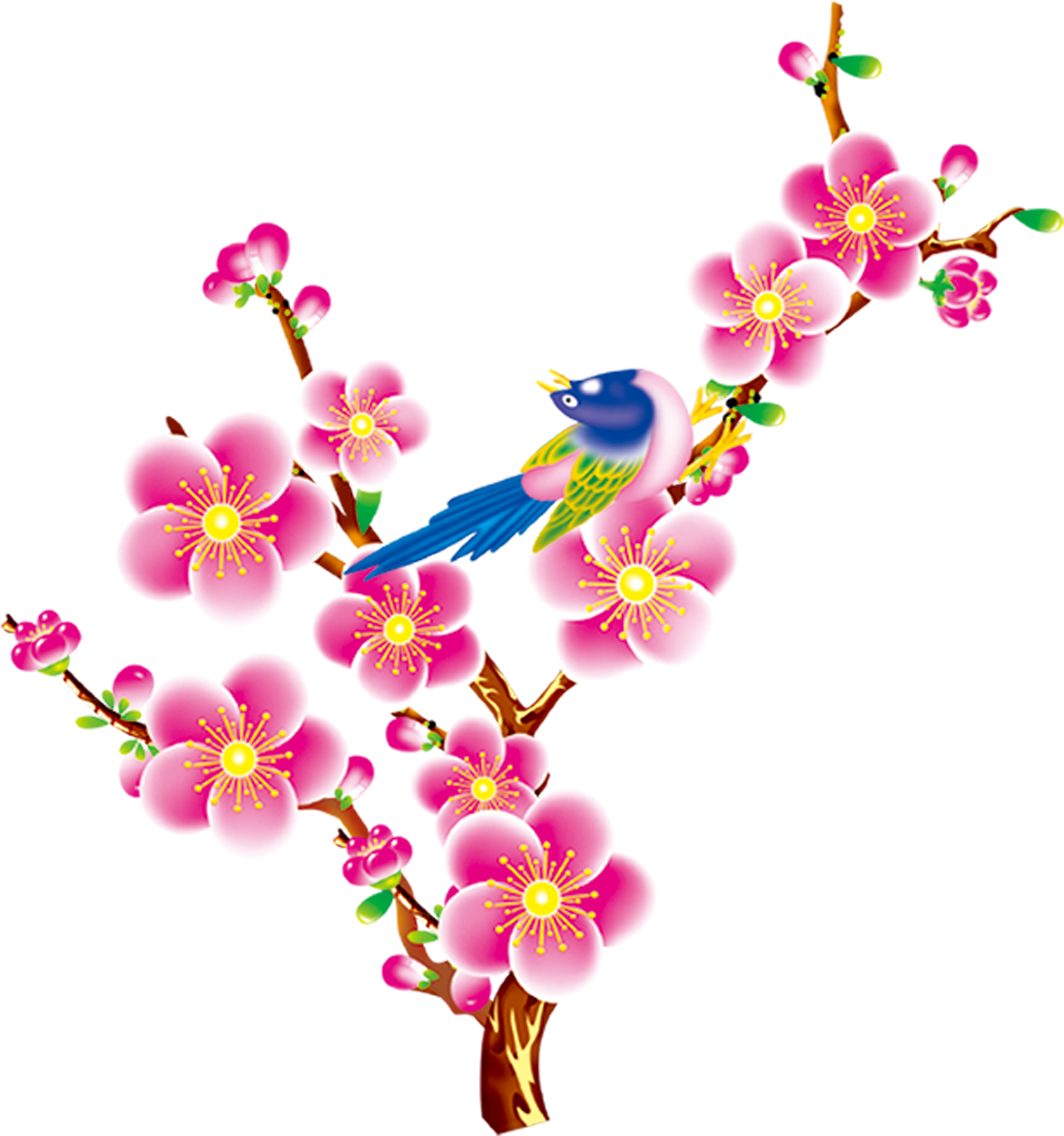 Floral Design Bird Flower Clipart (1780x1901), Png Download