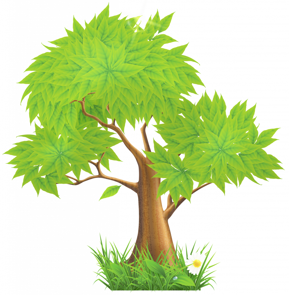 Clipart Images Of Trees - Trees Clip Art Png Transparent Png (1001x1024), Png Download