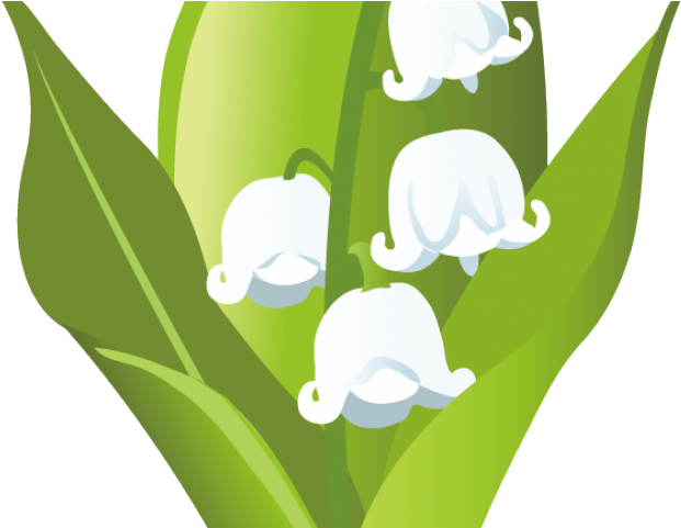 Valley Clipart La Naturaleza - Clip Art - Png Download (640x480), Png Download