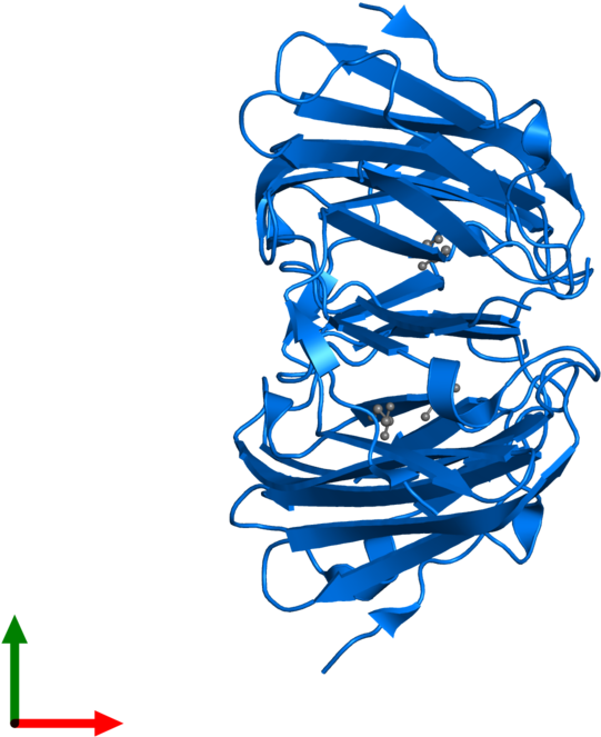 Heat Shock Protein Beta - Illustration Clipart (800x800), Png Download