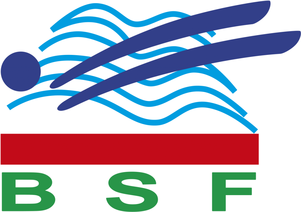 Belarusian Swimming Federation - Graphic Design Clipart (1024x728), Png Download
