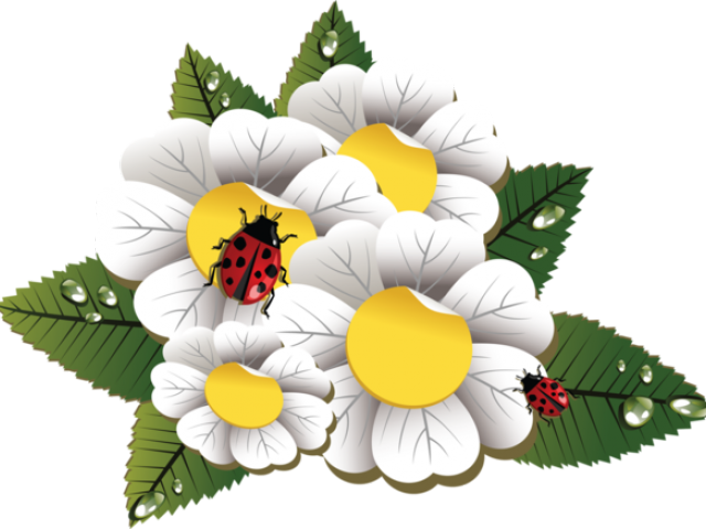 Flower Clipart (640x480), Png Download