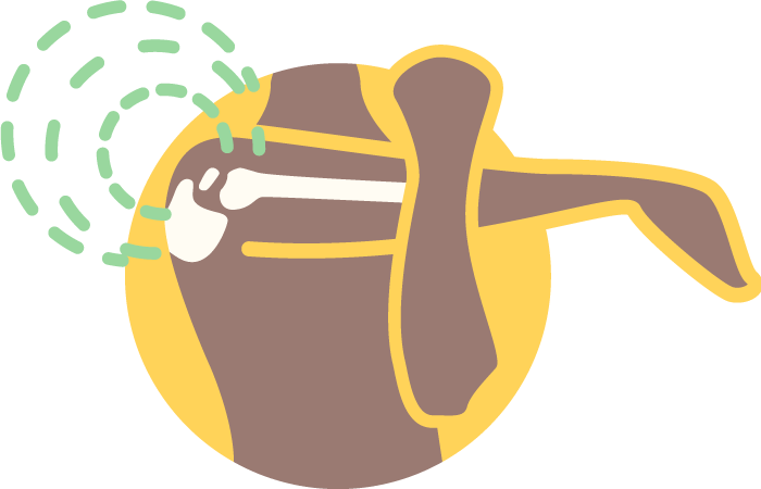 Shoulder Treatments - Emblem Clipart (700x450), Png Download