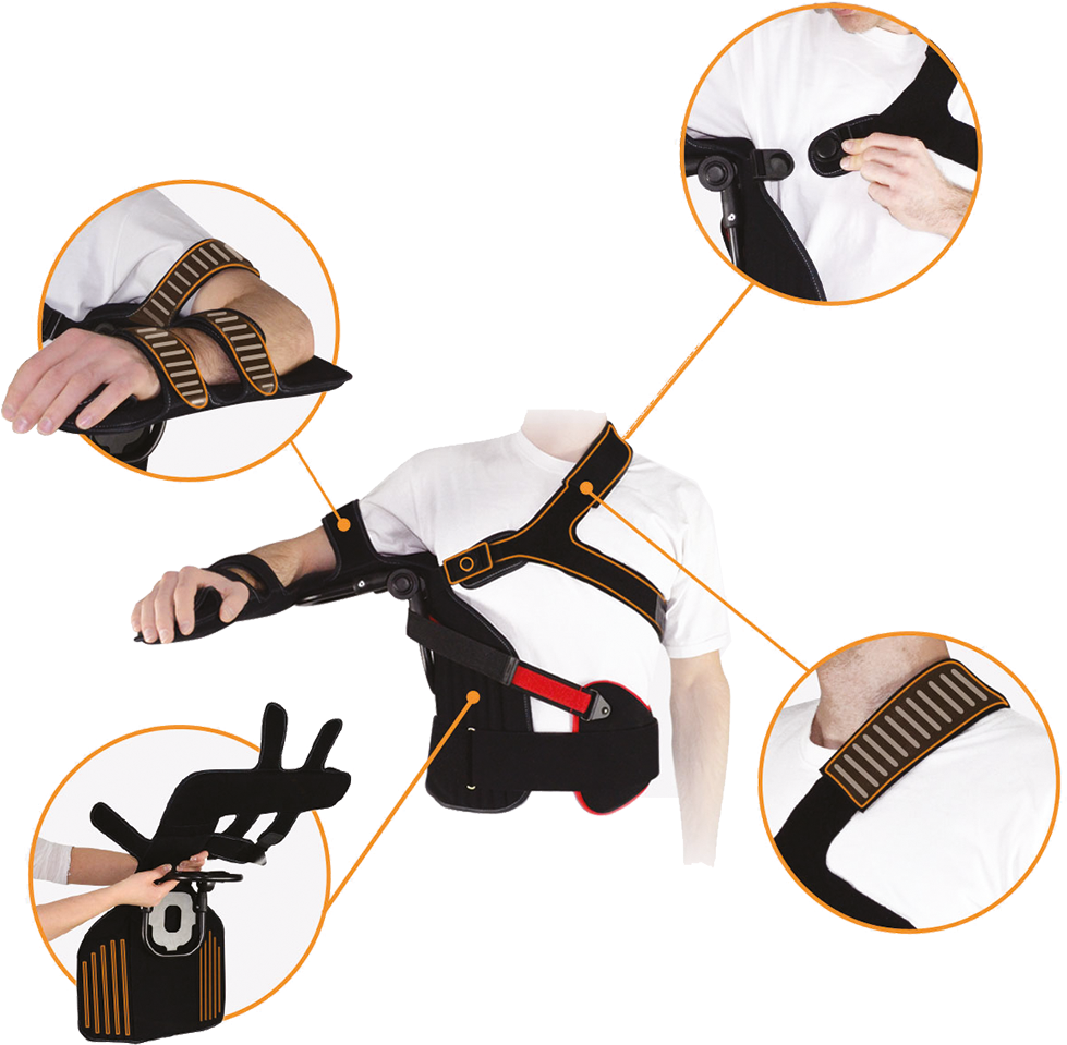 "controlflex" Abduction Immobilization Shoulder Brace - Deer Clipart (1000x1000), Png Download
