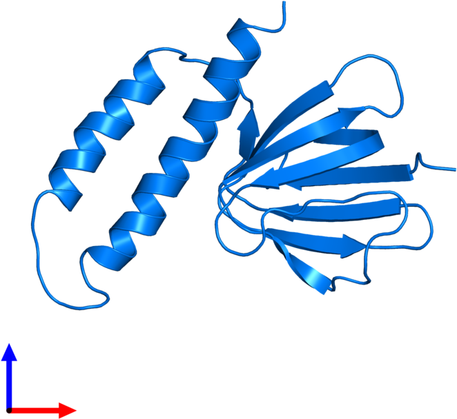 <div Class='caption-body'>pdb Entry 1bsn Contains 1 - Illustration Clipart (800x800), Png Download