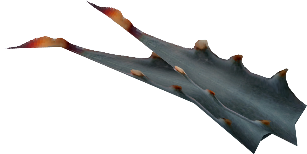 Nevada Agave Fruit - Nevada Fruit Clipart (1062x535), Png Download