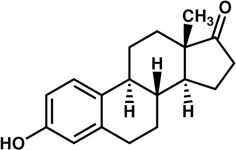 Note The Ketone Group Attached To The D Ring - Formula Del Estradiol Clipart (800x514), Png Download
