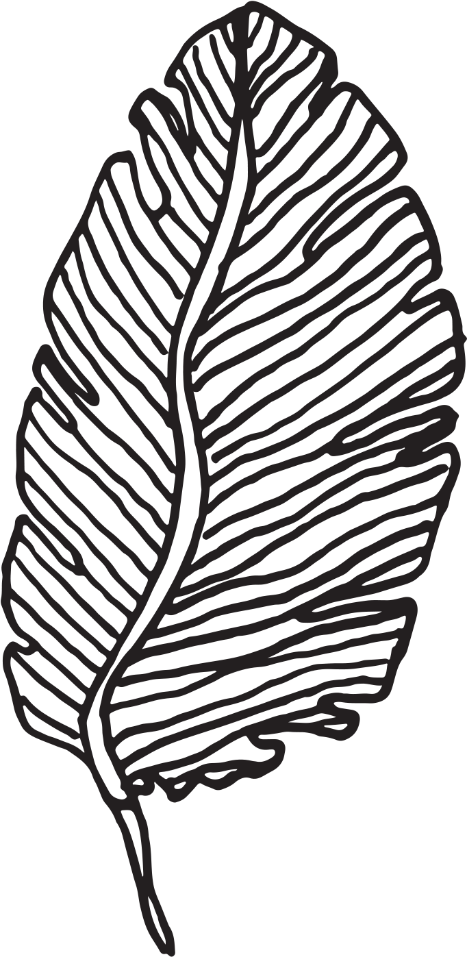 Secret Garden Wedding - Sketch Clipart (1500x1500), Png Download