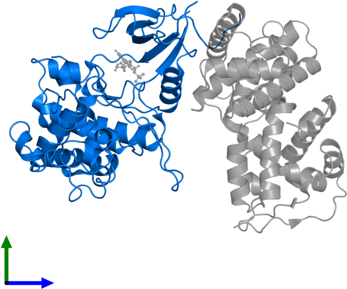 Entity 1, Front View - Illustration Clipart (800x800), Png Download