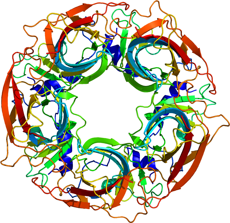 Chrnb2 - Circle Clipart (1200x1000), Png Download