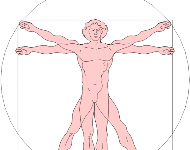 Renaissance Clipart Vitruvian Man - Cartoon - Png Download (640x480), Png Download