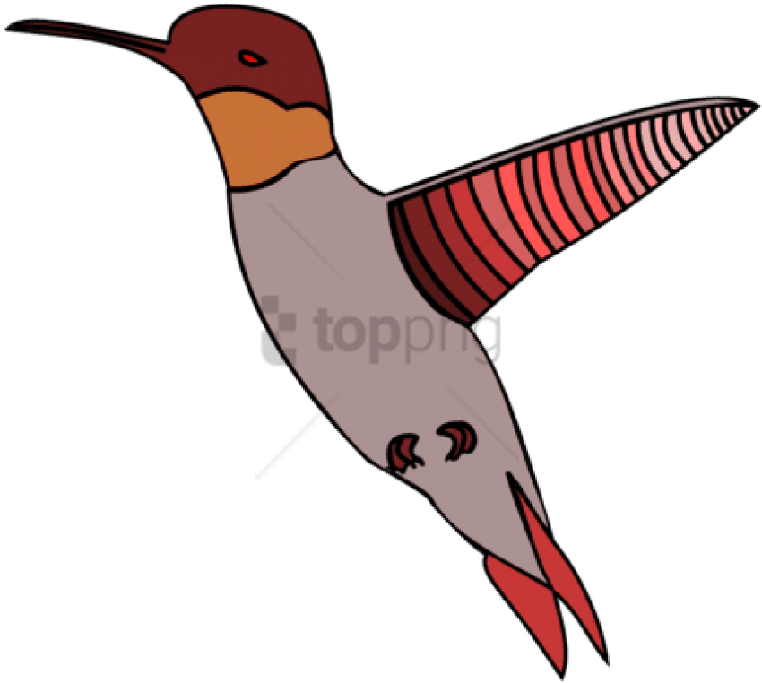 Free Png Hummingbird Watercolor Painting Computer Icons - Ruby-throated Hummingbird Clipart (850x762), Png Download