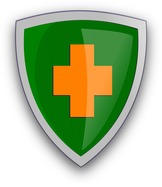 Shield Clipart (623x720), Png Download