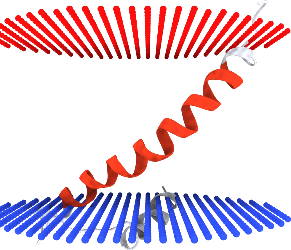 2mm4 - Faire Part Naissance Garçon Moustache Clipart (1000x1000), Png Download