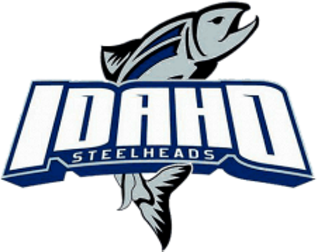 Cobweb - Idaho Steelheads Hockey Clipart (630x510), Png Download