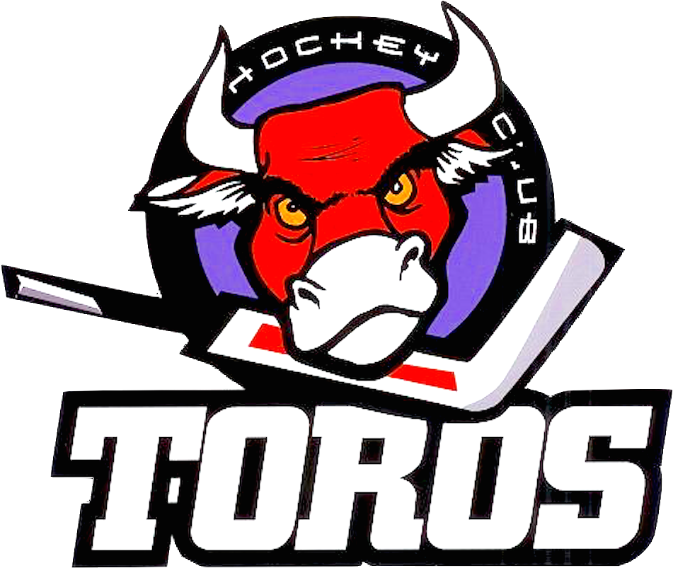 Clase Para Adultos - Hockey Clipart (964x813), Png Download