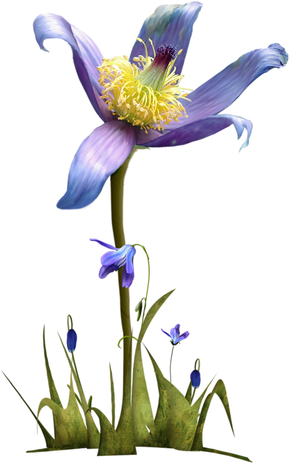 Tubes Fleurs Potted Flowers, Art Flowers, Flower Pots, - Pasqueflower Clipart (551x800), Png Download