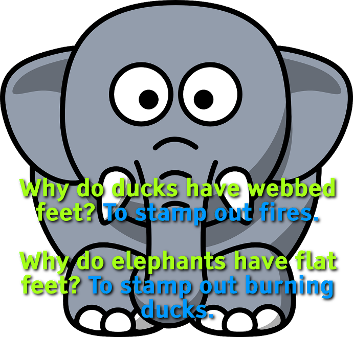 Why Do Ducks Have Webbed Feet To Stamp Out Fires - Cartoon Elephant Clipart (690x659), Png Download