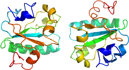 Pdb Model Clipart (640x480), Png Download