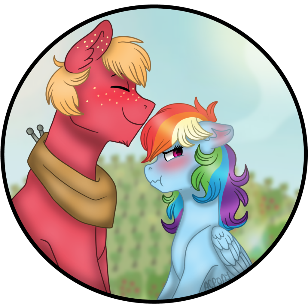 Source - Rainbow Dash X Big Mac Clipart (1045x1024), Png Download