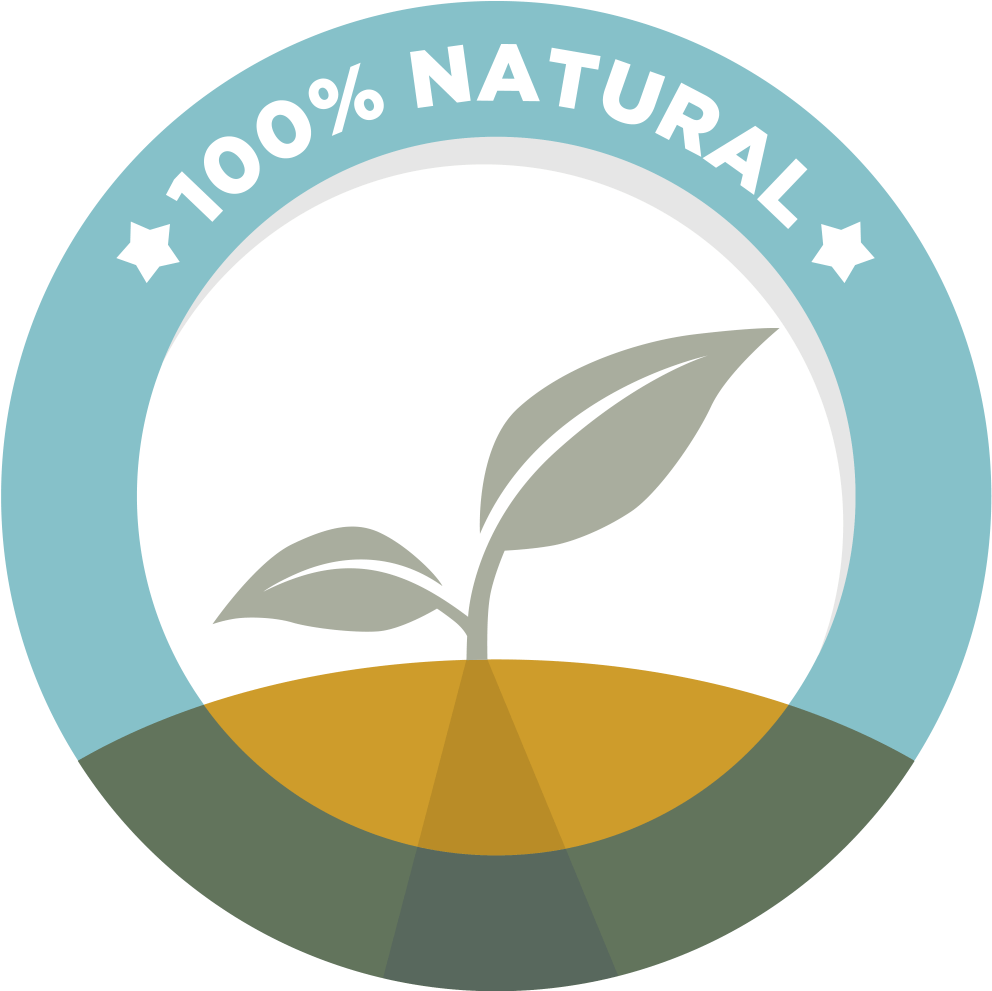 Lice Treatment Services - International Coaching Community Clipart (1003x990), Png Download