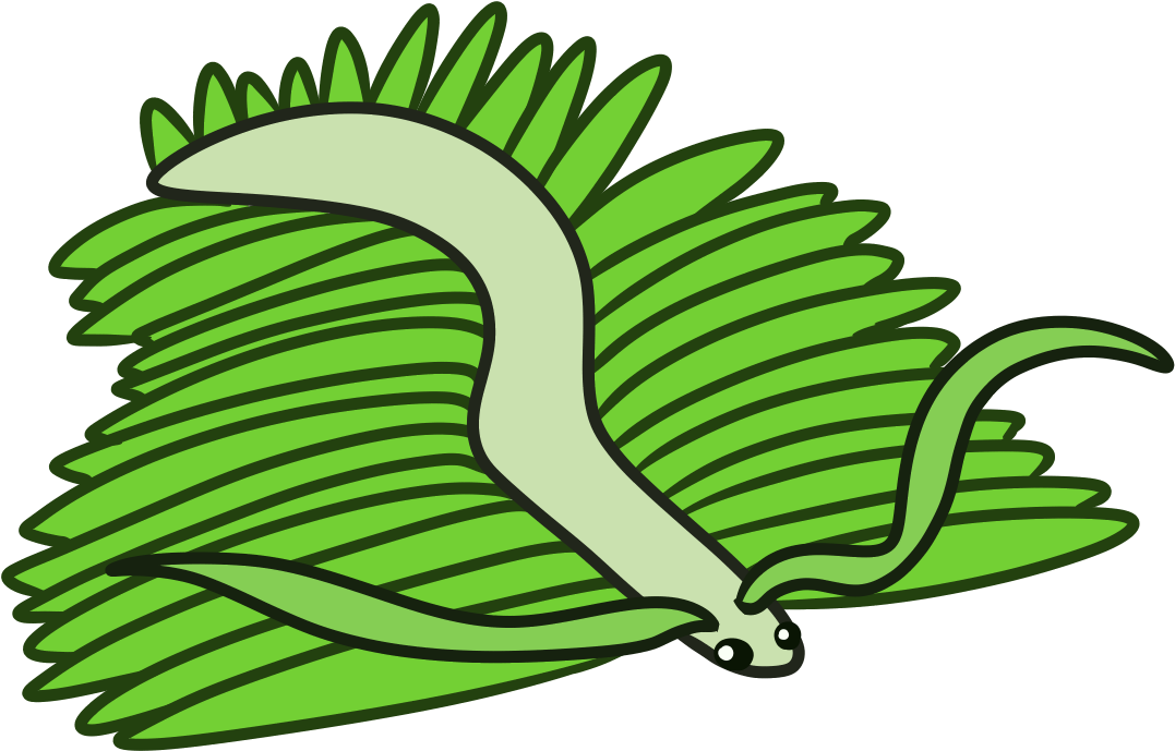 House Centipalm - Illustration Clipart (1600x1200), Png Download