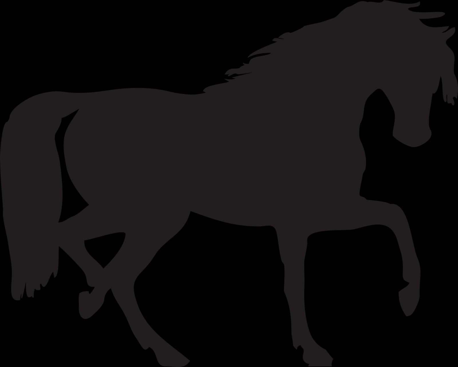 Free Horse Png Images - Namık Kemal Üniversitesi Veteriner Fakültesi Clipart (1600x1281), Png Download