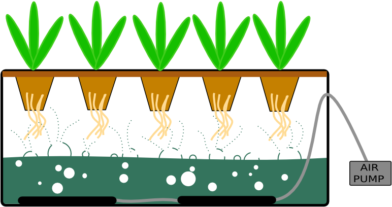Interpersonal Boundaries Variations And - Bubbler System Hydroponics Clipart (790x430), Png Download