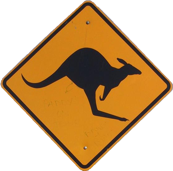 Kangaroo Png Clipart (581x572), Png Download