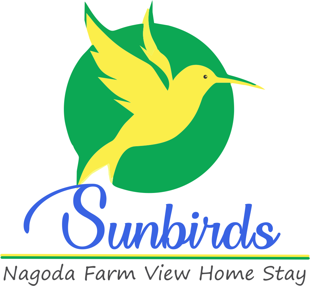 Sunbird Home Stay - Hummingbird Clipart (1000x925), Png Download