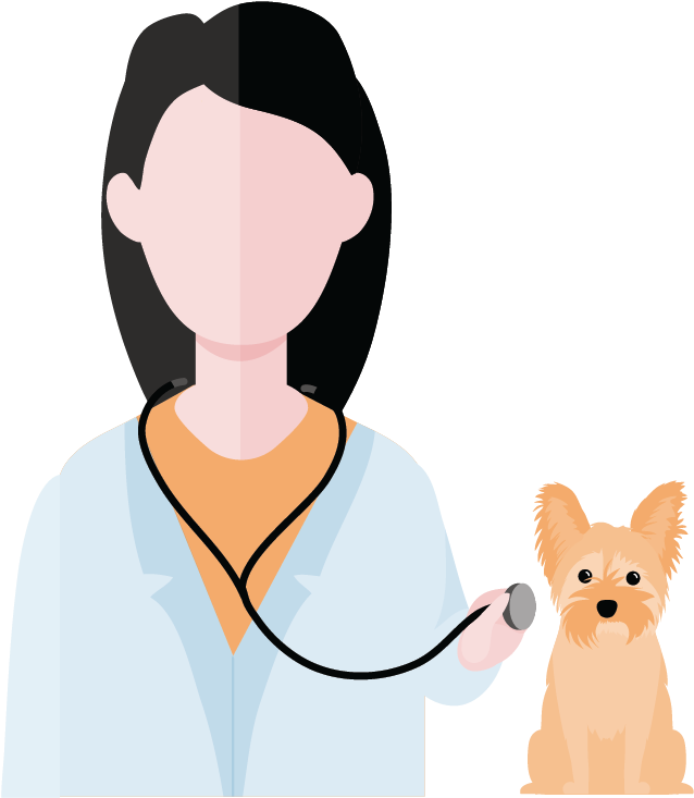 Contamos Com Uma Equipe De Especialistas Selecionados - Companion Dog Clipart (783x839), Png Download