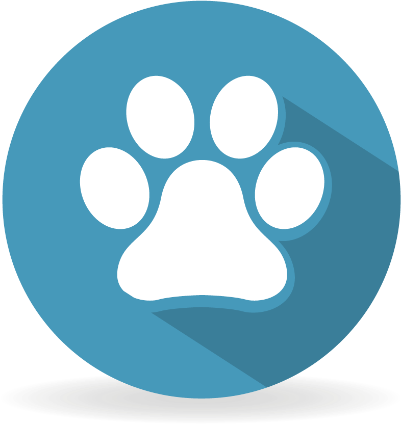 Clínica Veterinaria Hospital Veterinario 24 Horas Vetersalud - Dog Clipart (833x833), Png Download