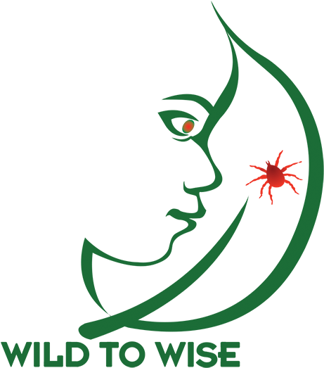 Nature School Clipart (600x600), Png Download