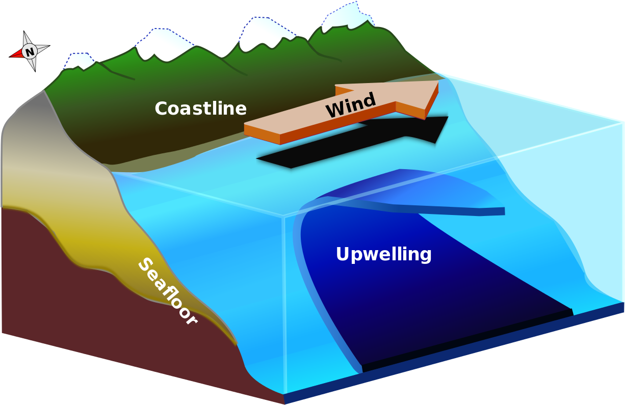 Watts Up With That - Upwelling Current Clipart (1280x849), Png Download