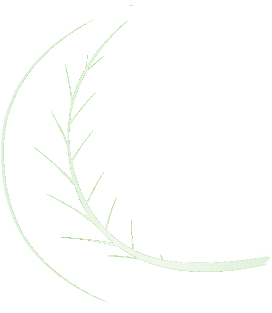 Moon Clipart (700x676), Png Download
