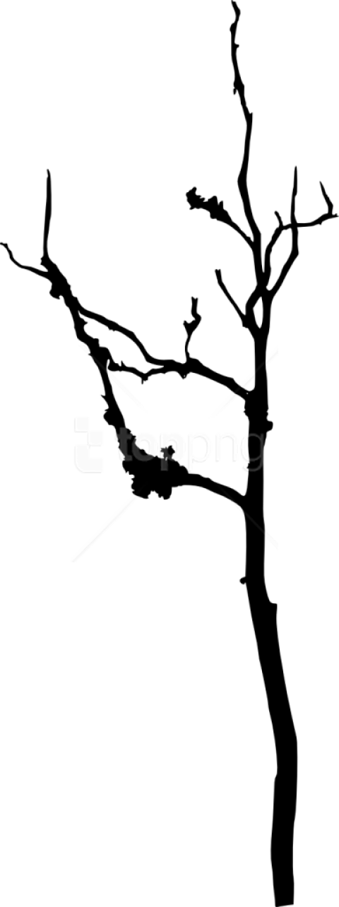 Free Png Bare Tree Silhouette Png Images Transparent - Silhouette Clipart (480x1284), Png Download