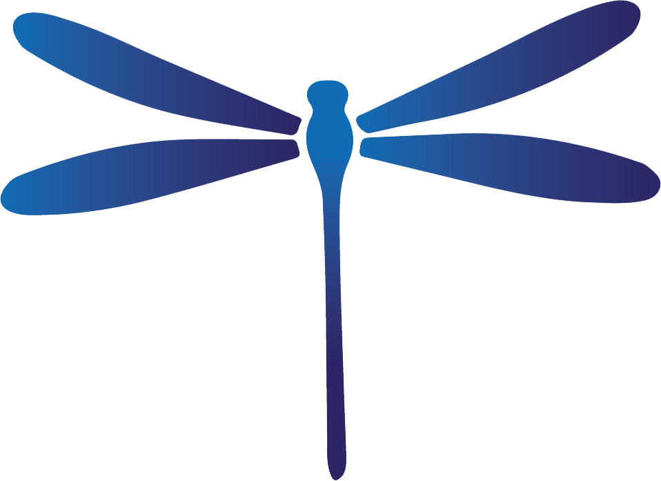 Vacant Properties - Damselfly Clipart (958x697), Png Download